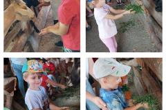 GridArt_20230619_195611554-Copy
