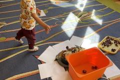 IMG_9235-Copy