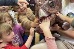 IMG_9415-Copy